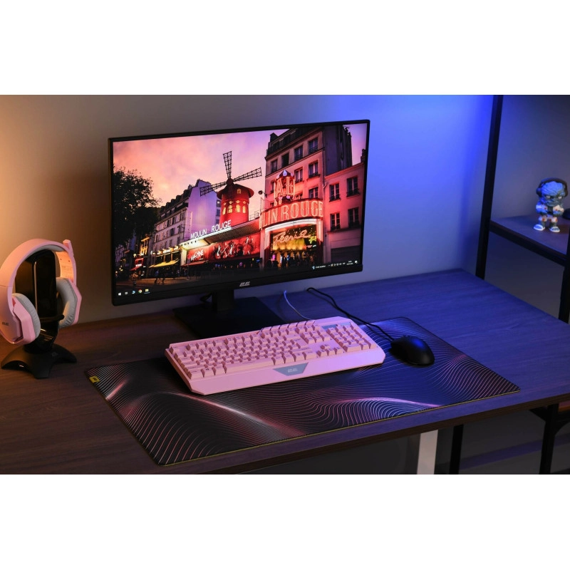 2E Gaming Mouse Pad PRO Speed XL D03